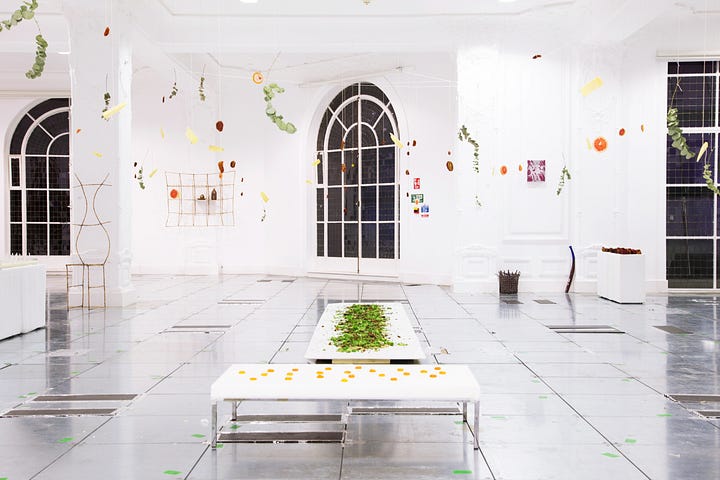 Food Installation 7 Artists Exploring Food As A Medium To Follow Now