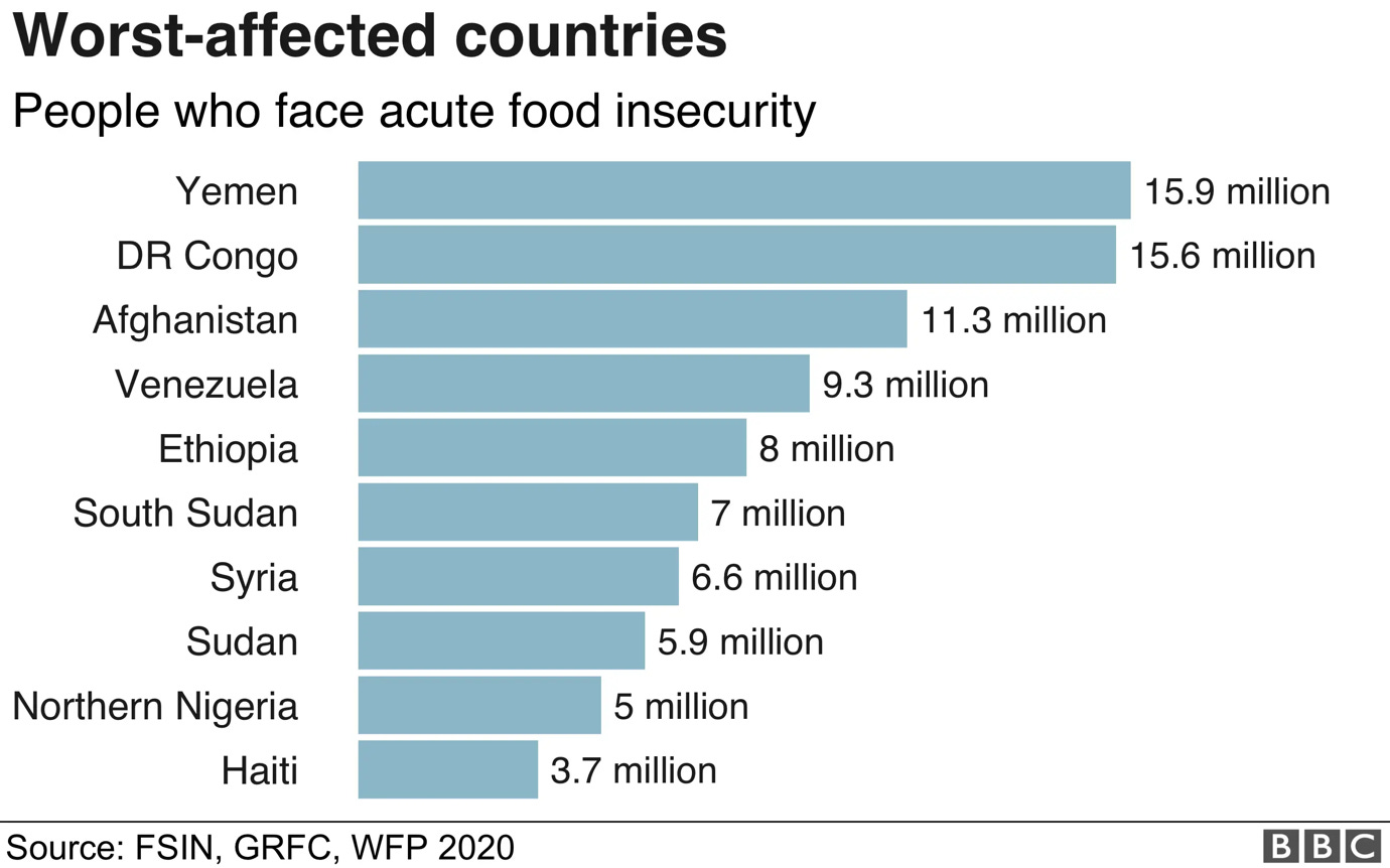 Coronavirus: Five of the countries most at risk from famine in 2020
