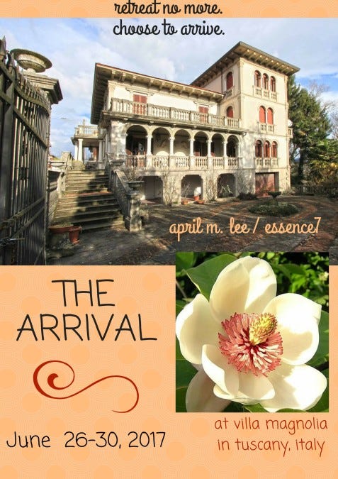 THE ARRIVAL- retreat no more THE ARRIVAL- retreat no more