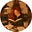 Avatar de Regina S. Reader