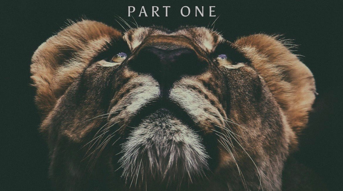 Podcast: Michael Bell Interviews Demi Pietchell on The Pureblood Podcast