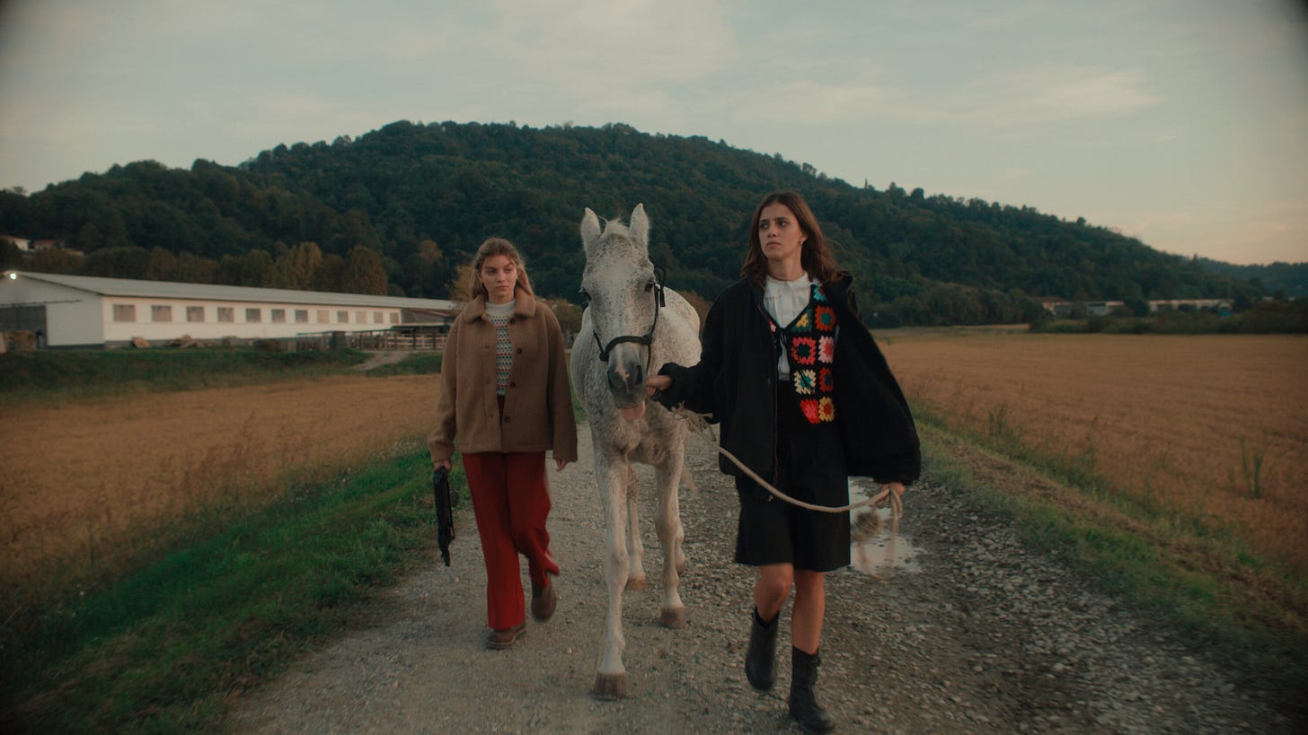 Amanda' Review: A Friendship Forged in Delusion - The New York Times