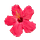 all flora no fauna