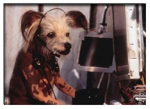Cats and Dogs : Production Notes