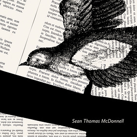 Sentences