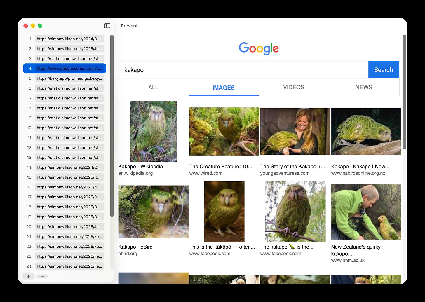 Screenshot of a macOS app window titled "Present" showing Google Image search results for "kakapo". A web view shows a Google image search with thumbnail photos of kākāpō parrots with captions. A sidebar on the left shows a numbered list of URLs, mostly from simonwillison.net and static.simonwillison.net, with item 4 (https://www.google.com/search?...) highlighted in blue. Screenshot of a macOS app window titled "Present" showing Google Image search results for "kakapo". A web view shows a Google image search with thumbnail photos of kākāpō parrots with captions. A sidebar on the left shows a numbered list of URLs, mostly from simonwillison.net and static.simonwillison.net, with item 4 (https://www.google.com/search?...) highlighted in blue.