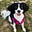 Shelagh's avatar