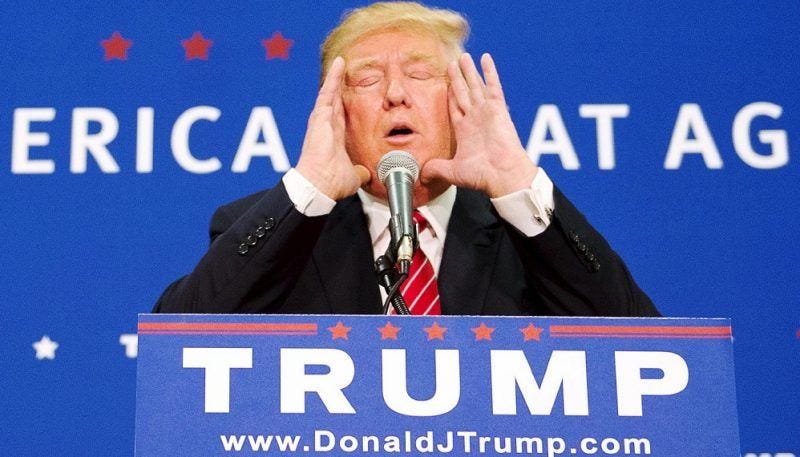 donald trump fake followers gets popular