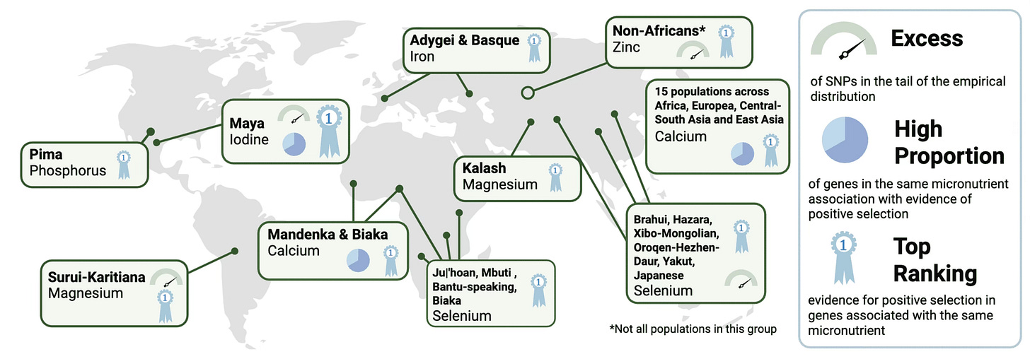 Graphic showing various populations with adaptations to micronutrient availability Graphic showing various populations with adaptations to micronutrient availability