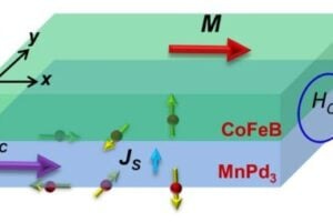 Unconventional z-spin polarization in MnPd3 material. (Image credit: The Wang Group)