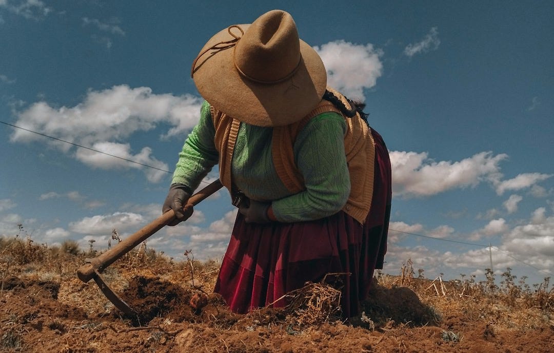 A woman is digging in the dirt with a shovel A woman is digging in the dirt with a shovel