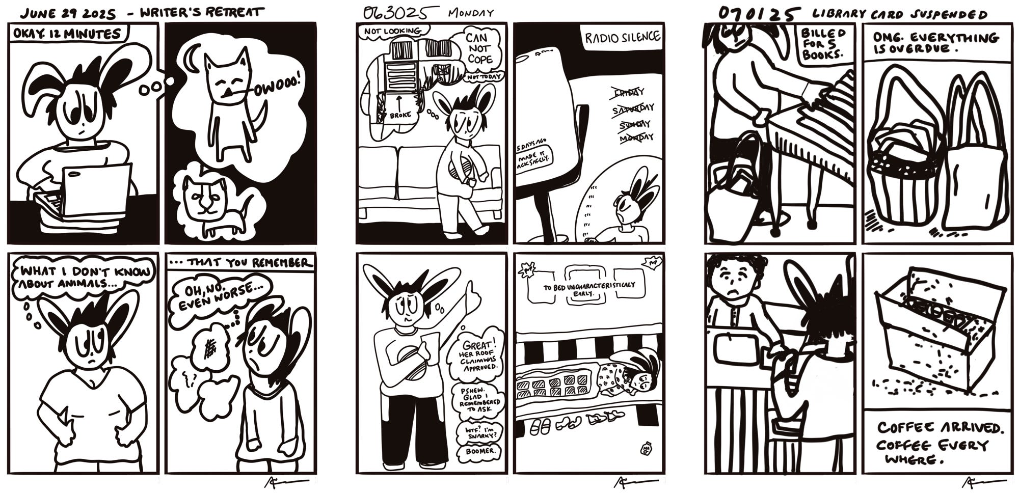 Daily diary comics