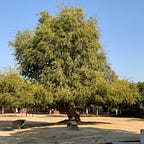 Good Schools of India