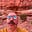 Robert Ostman's avatar