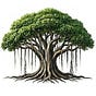 Banyan Lane Capital LLC's avatar