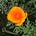 April Economides's avatar