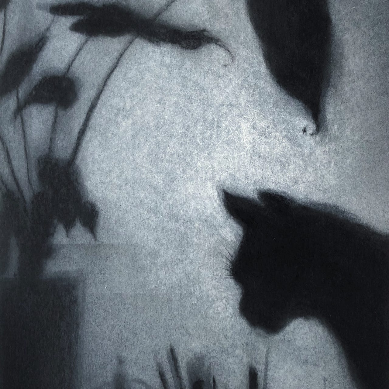 Sinister & Sweet. Cat Poems & Drawings