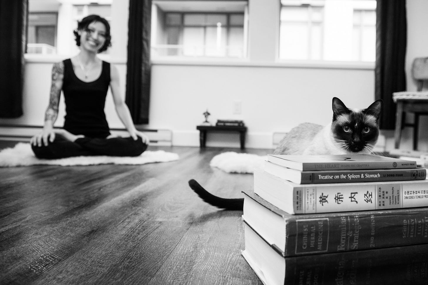 A Siamese cat named LingDao peeks out from behind a stack of Traditional Chinese Medicine books, including the Pi Wei Lun (Treatise on the Spleen and Stomach), while a woman sits smiling in lotus posture in the background.