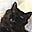 Ian Witt's avatar