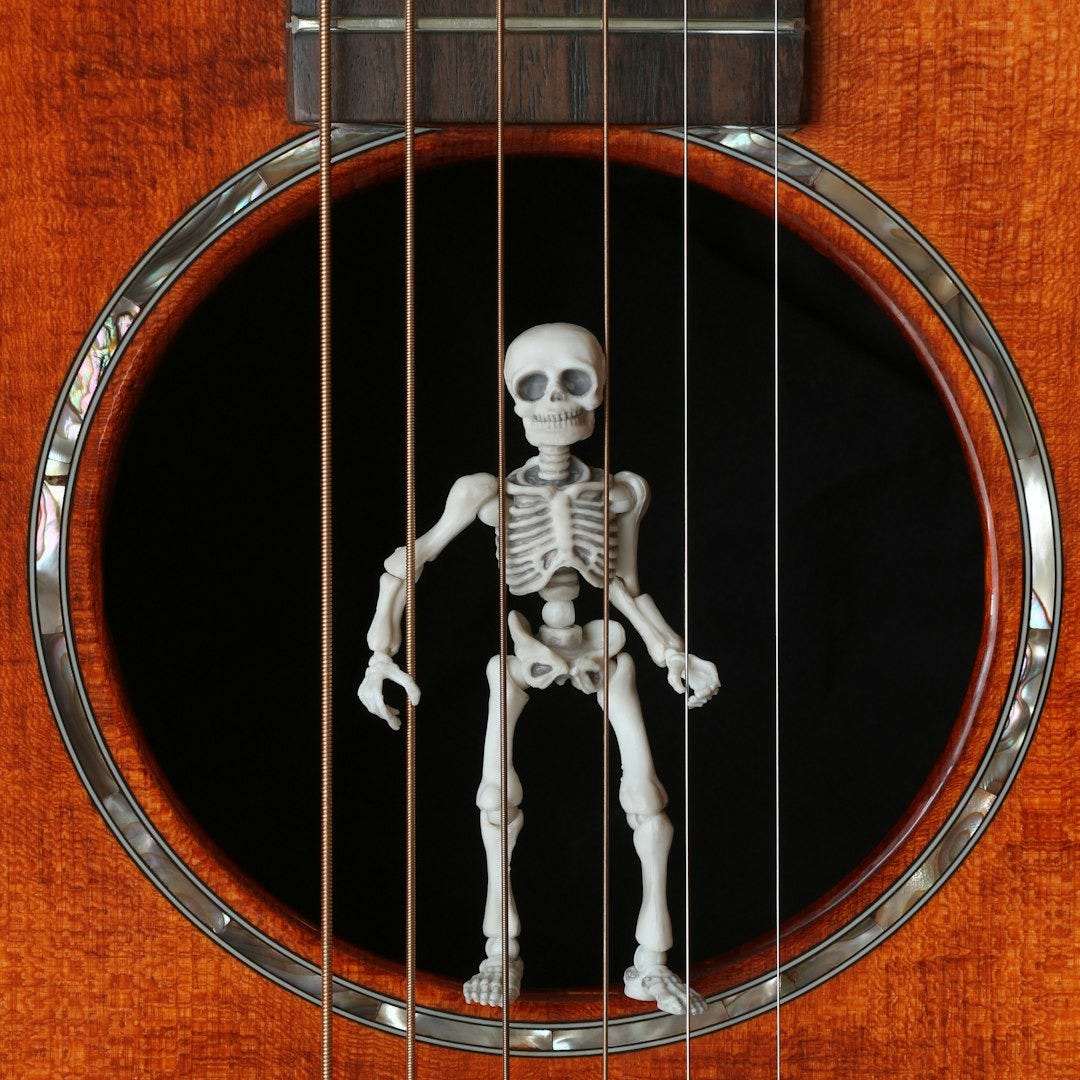 A guitar with a skeleton painted on it