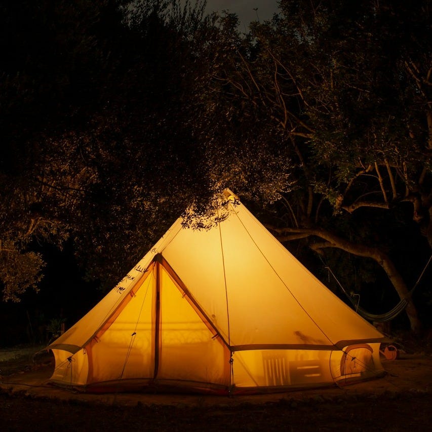 yellow tent surrounded by trees during night time