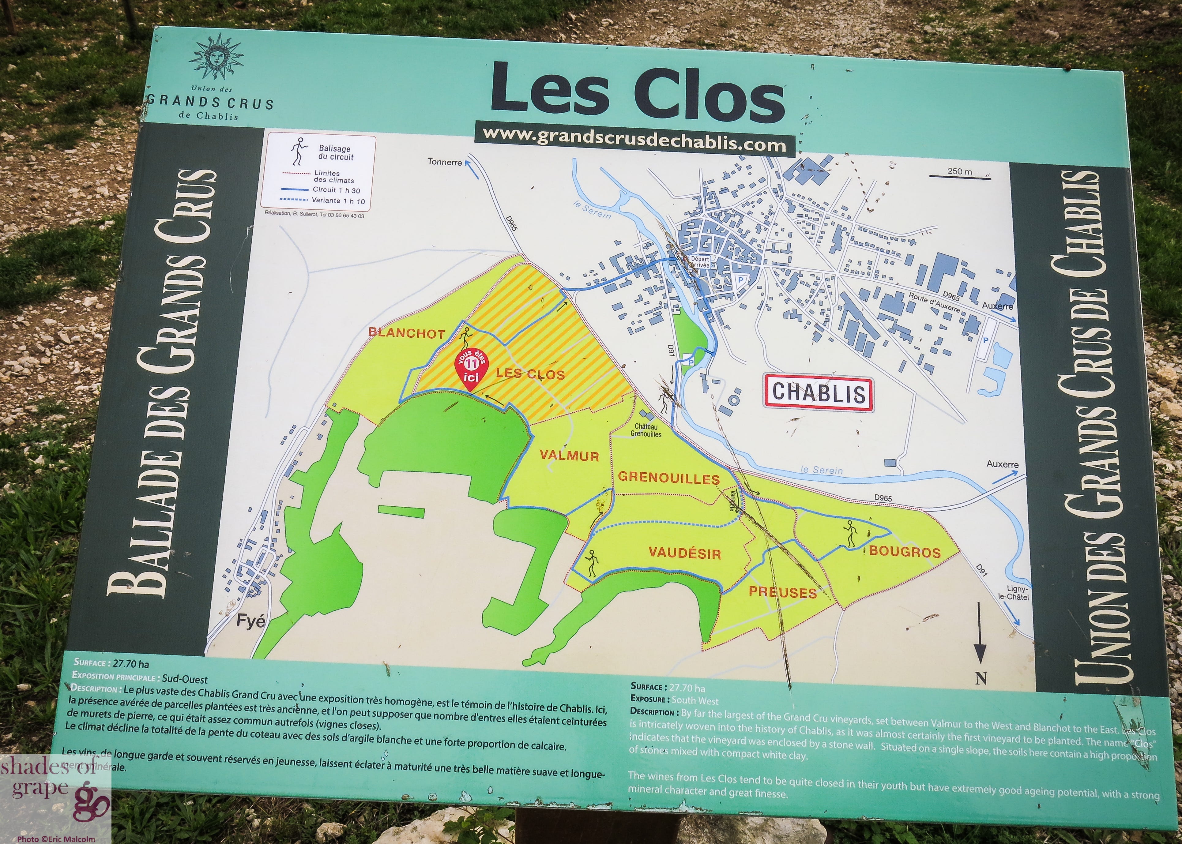 Chablis: Once Paris’ Wine to Purr-fect Chat -Blis Inspo