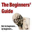 The Beginners' Guide's avatar