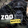 SF Zoo Watch