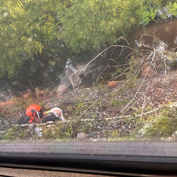 Chainsaws cut the Voodoo Express loose