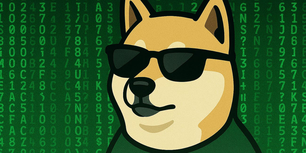 What If Everything Is a Lie?