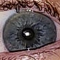 David's avatar