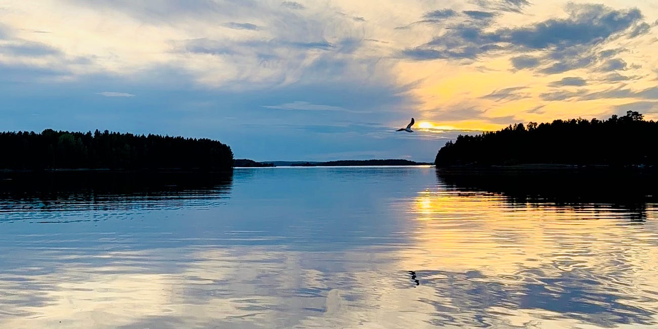 The Birds’ Hour on the Lake