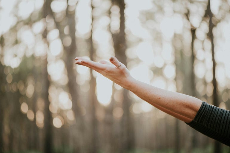 A woman’s hand is set against a backdrop of trees and light, symbolizing hope.