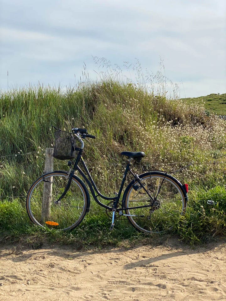 coastal life