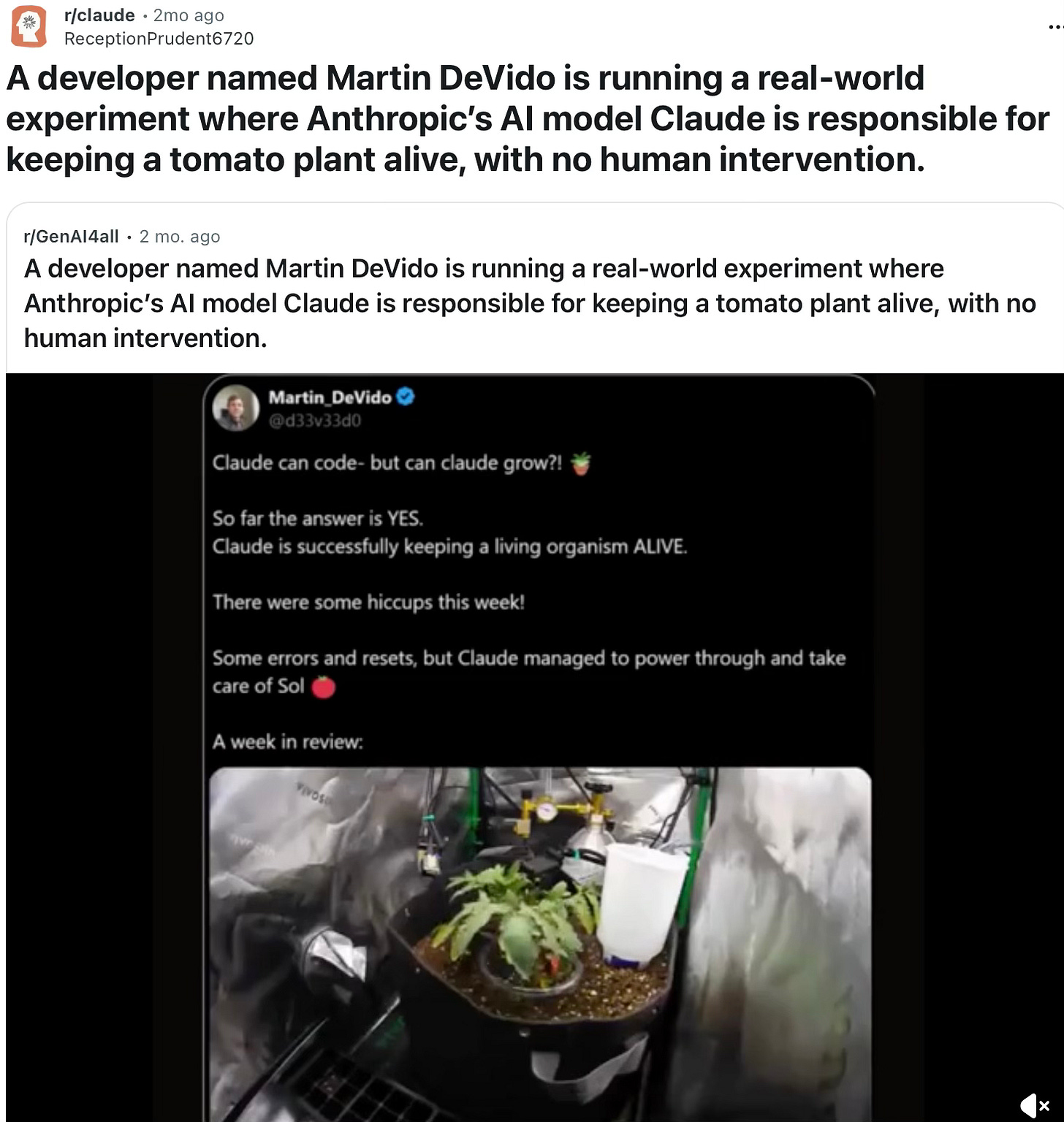 keeping a plant alive with Claude Code keeping a plant alive with Claude Code