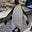 Nils Oslav III's avatar