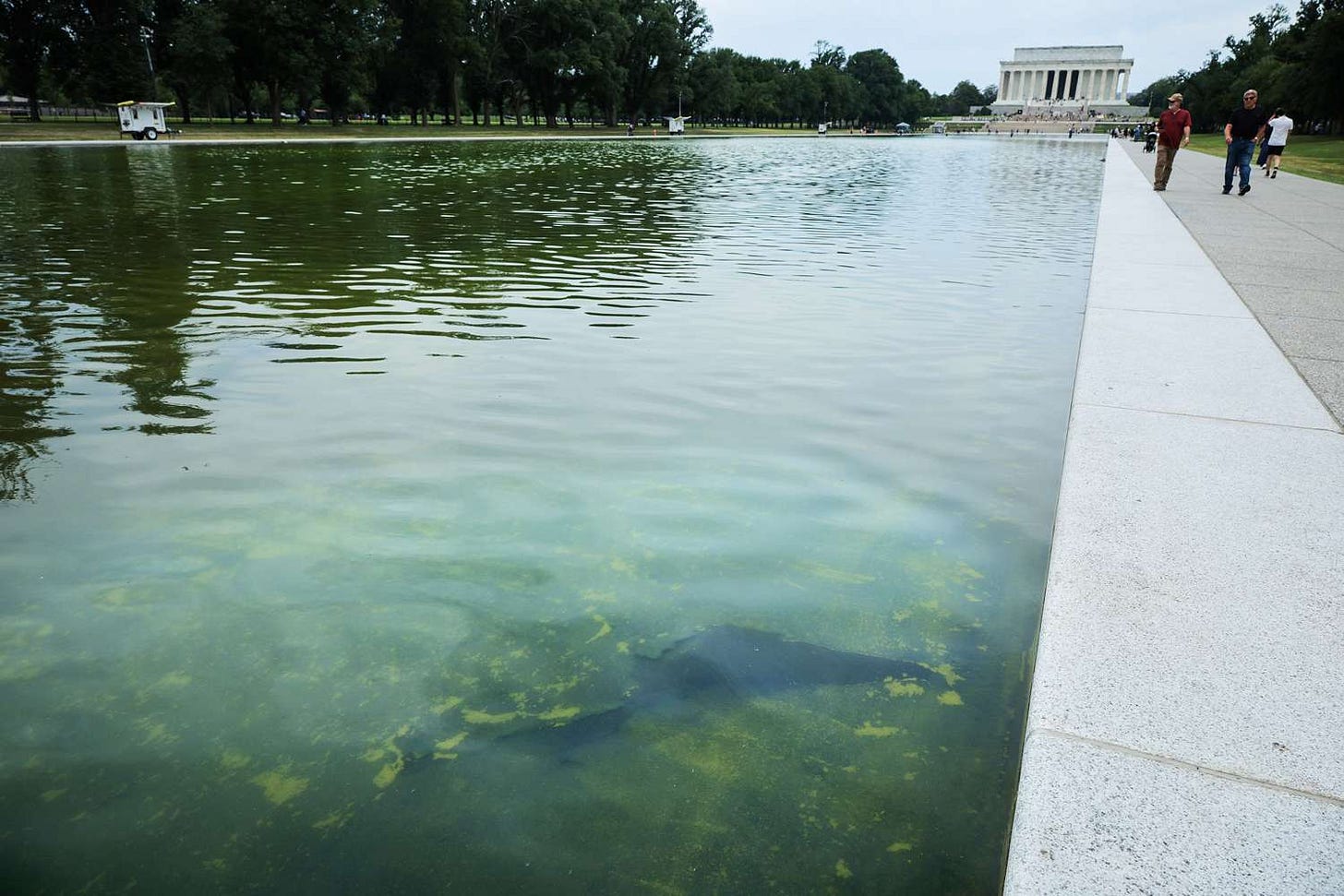 Trump's Reflecting Pool Paint Job Appears to Be Peeling Already