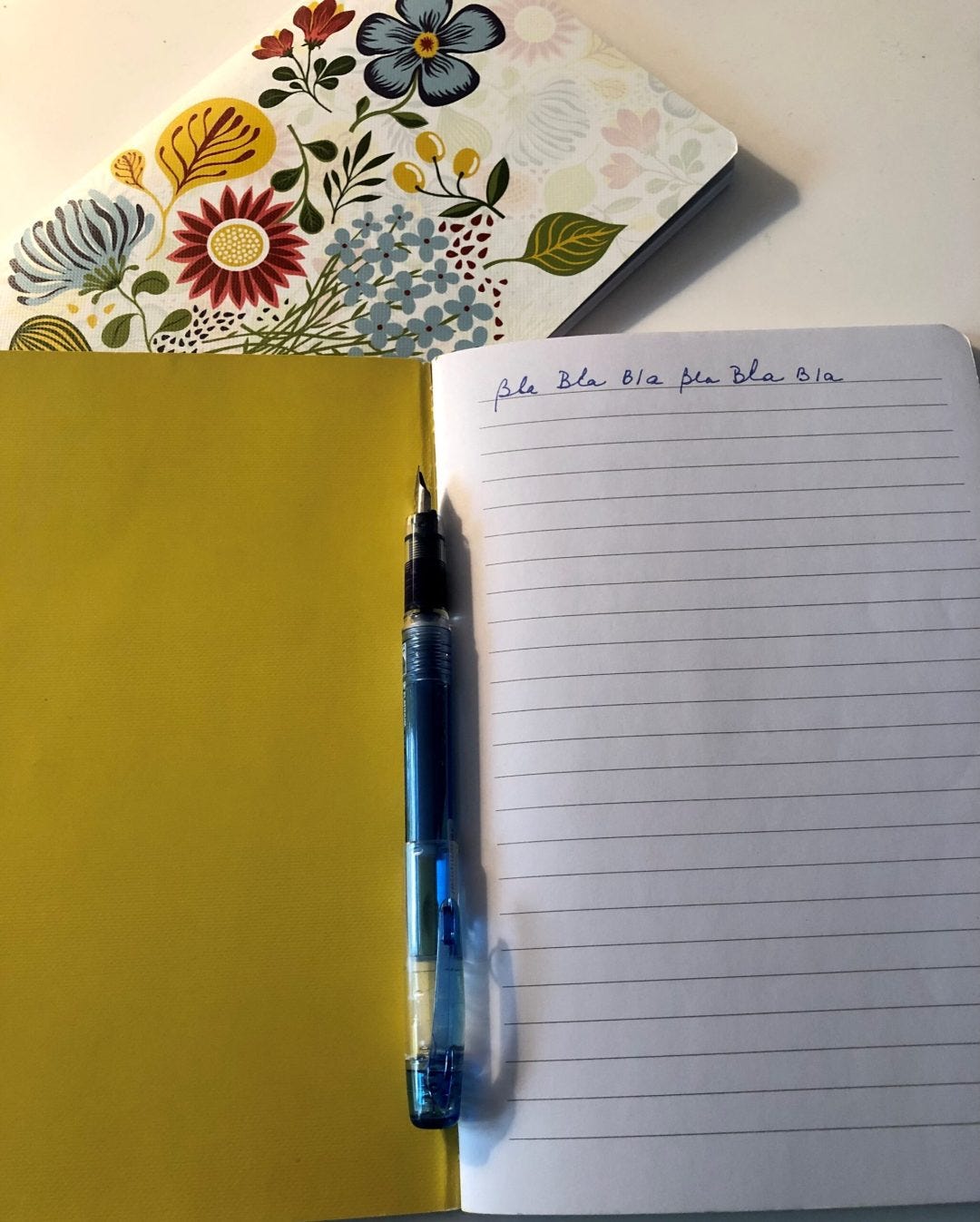 Cahier d'écriture (crédit photo Phrenssynnes) Cahier d'écriture (crédit photo Phrenssynnes)