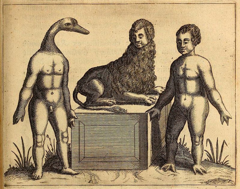 three rabbis jewish horror lichtschein