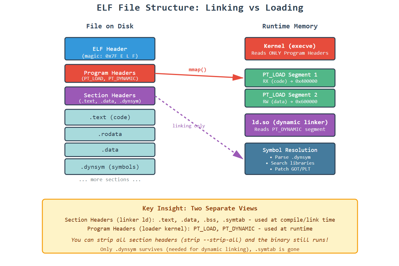 Elf Address ELF Internals: Section Headers and Symbol Resolution