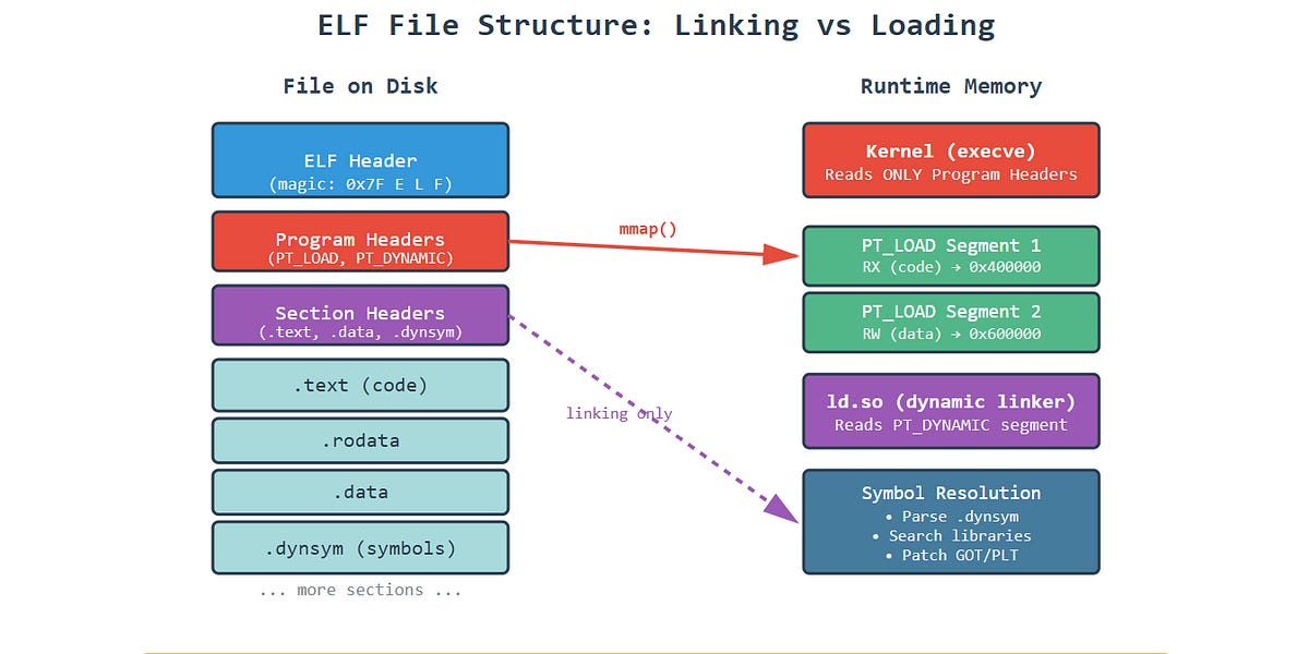 ELF Internals: Section Headers and Symbol Resolution
