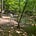 Liam Sanders's avatar
