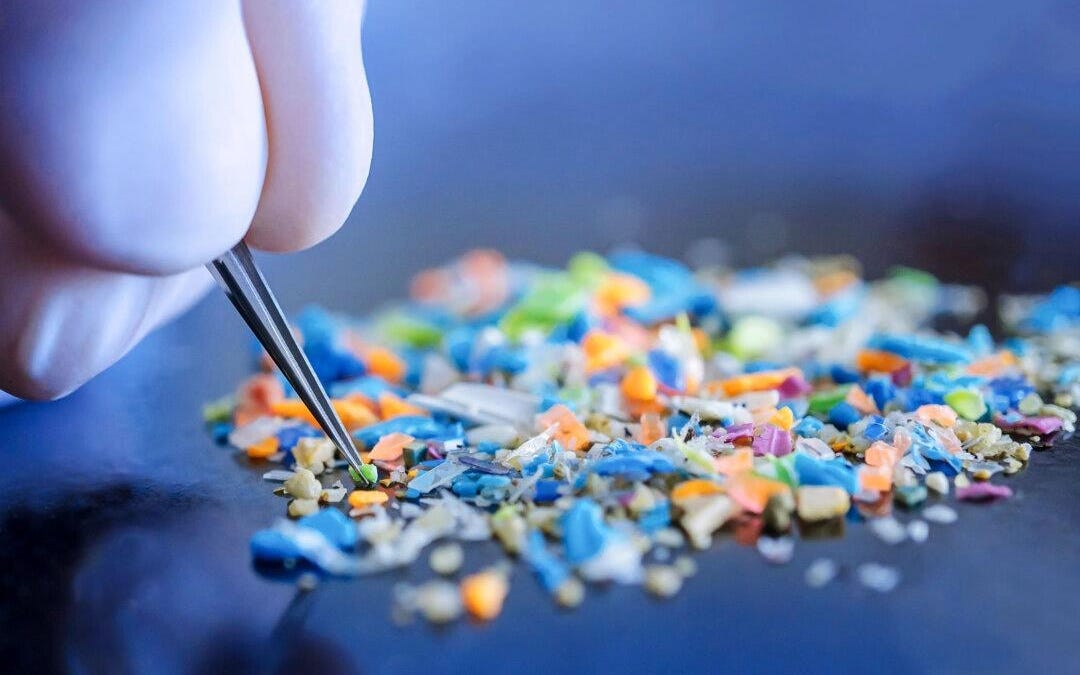 Microplastics Found In Brain Weighs As Much As A Plastic Spoon: Study