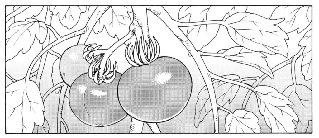This image has an empty alt attribute; its file name is heavenlydelusion-tomatoes-1024x443.jpg