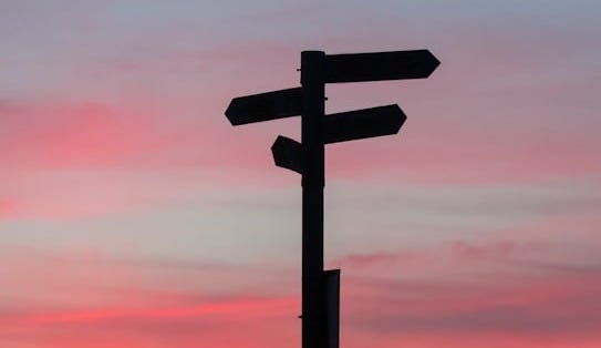 silhouette of road signage during golden hour
