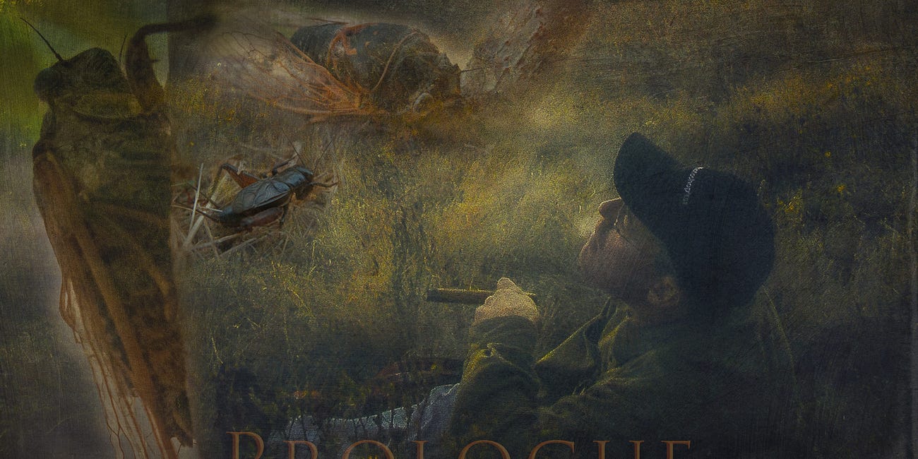 Prologue is where you ask...