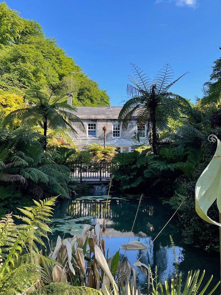 photos of a garden in St. Austell by Sabrina Simpson