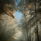 Beautifully Dead - Chapter 24