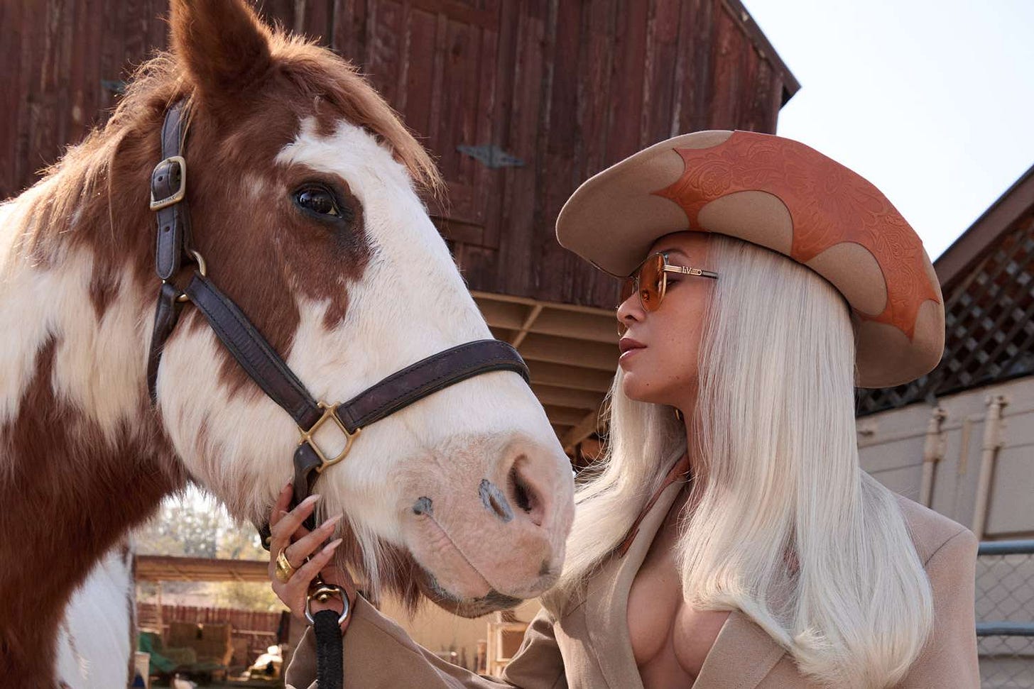 Beyoncé Wears Cowboy Gear on 'W' Magazine Cover to Celebrate 'Cowboy Carter'