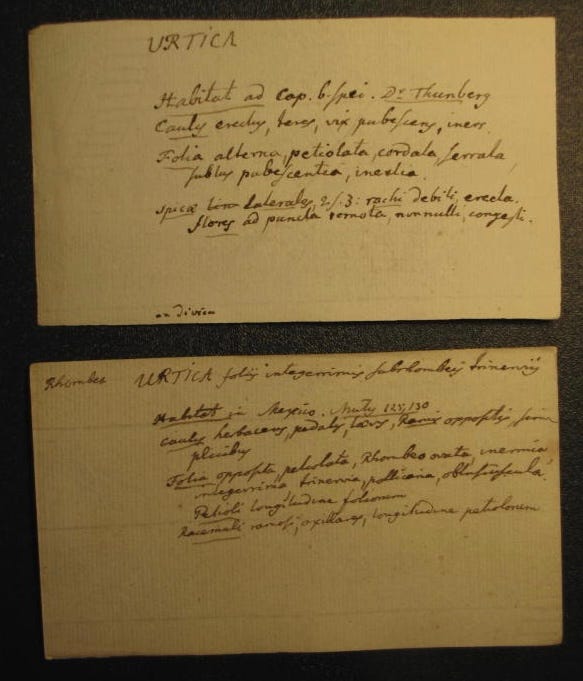 Two old index cards